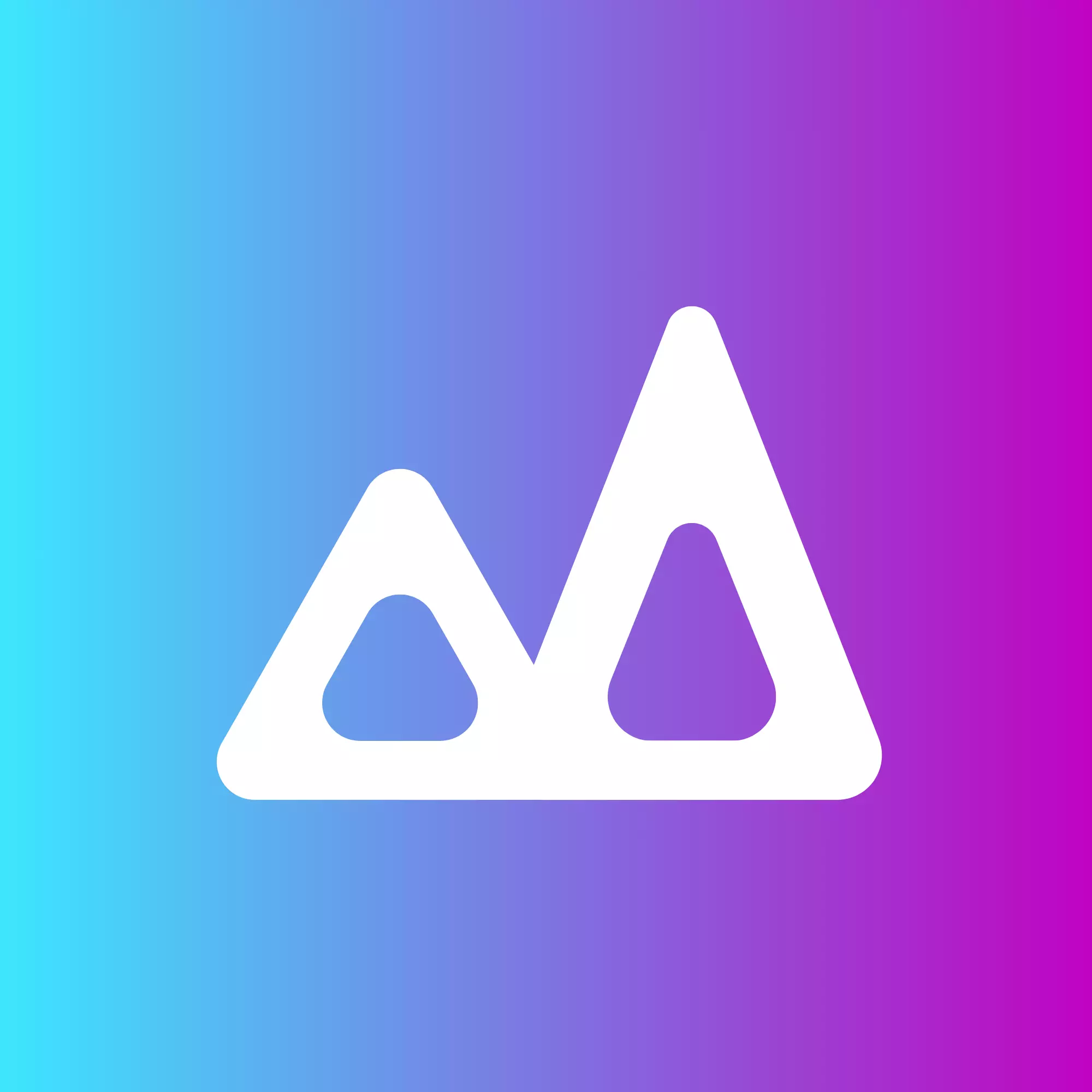 nicheAce logo